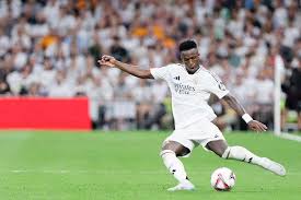 了广泛关注 了广泛关注